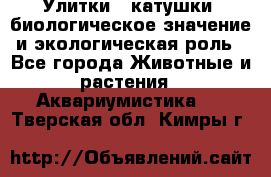 Улитки – катушки: биологическое значение и экологическая роль - Все города Животные и растения » Аквариумистика   . Тверская обл.,Кимры г.